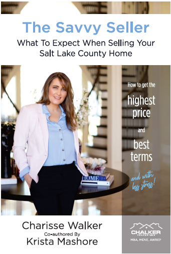 Cover of The Savvy Seller